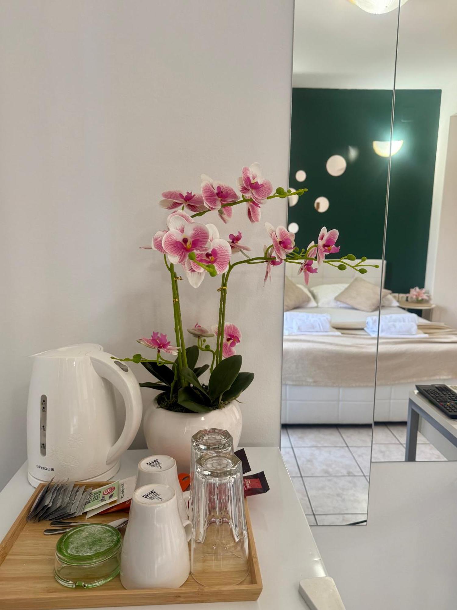 Apartments Ana & Ita โนวาลยา ภายนอก รูปภาพ